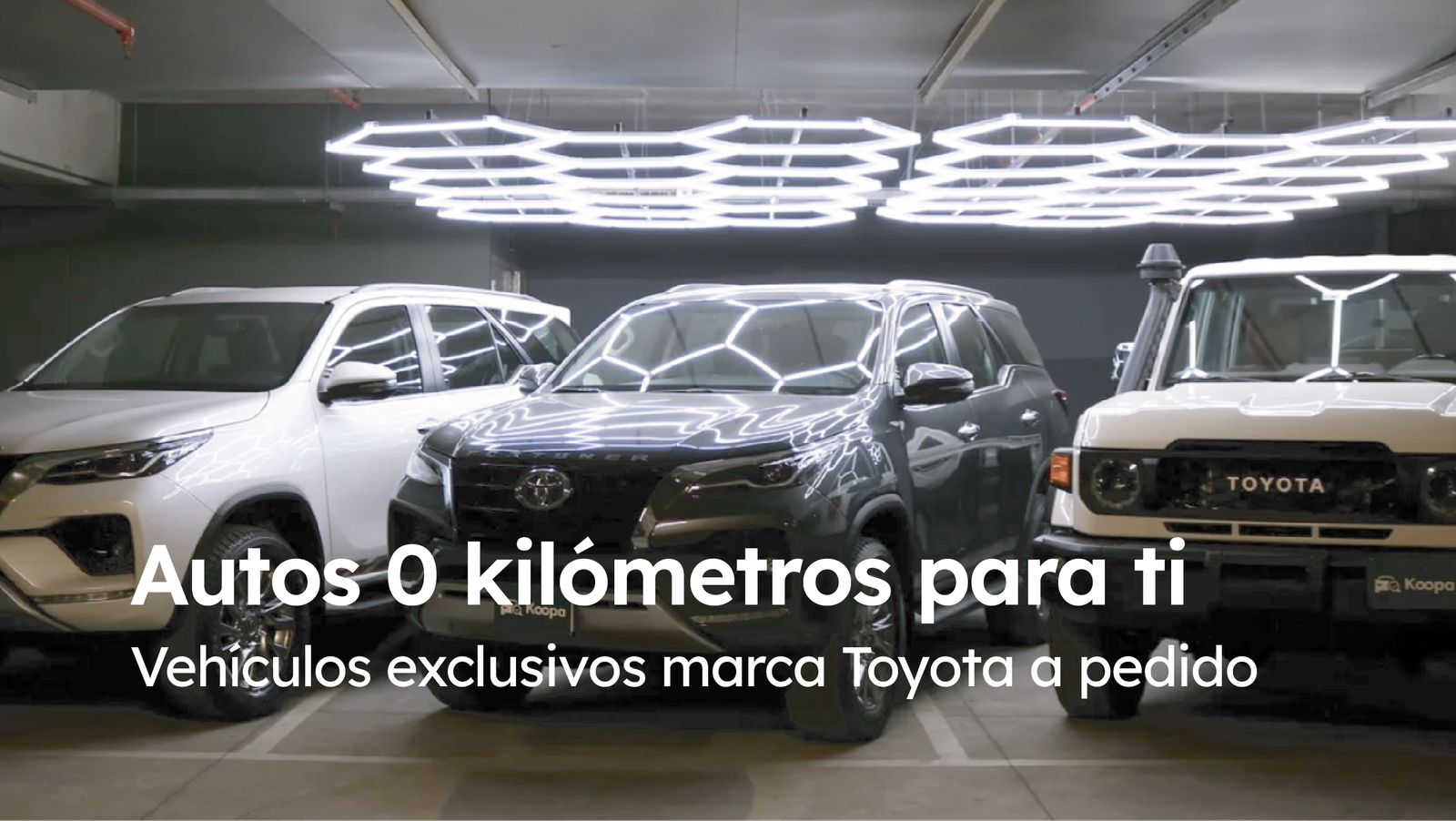 Que más puedo ver_Mesa de trabajo 1 copia